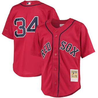 youth mitchell and ness david ortiz red boston red sox coope